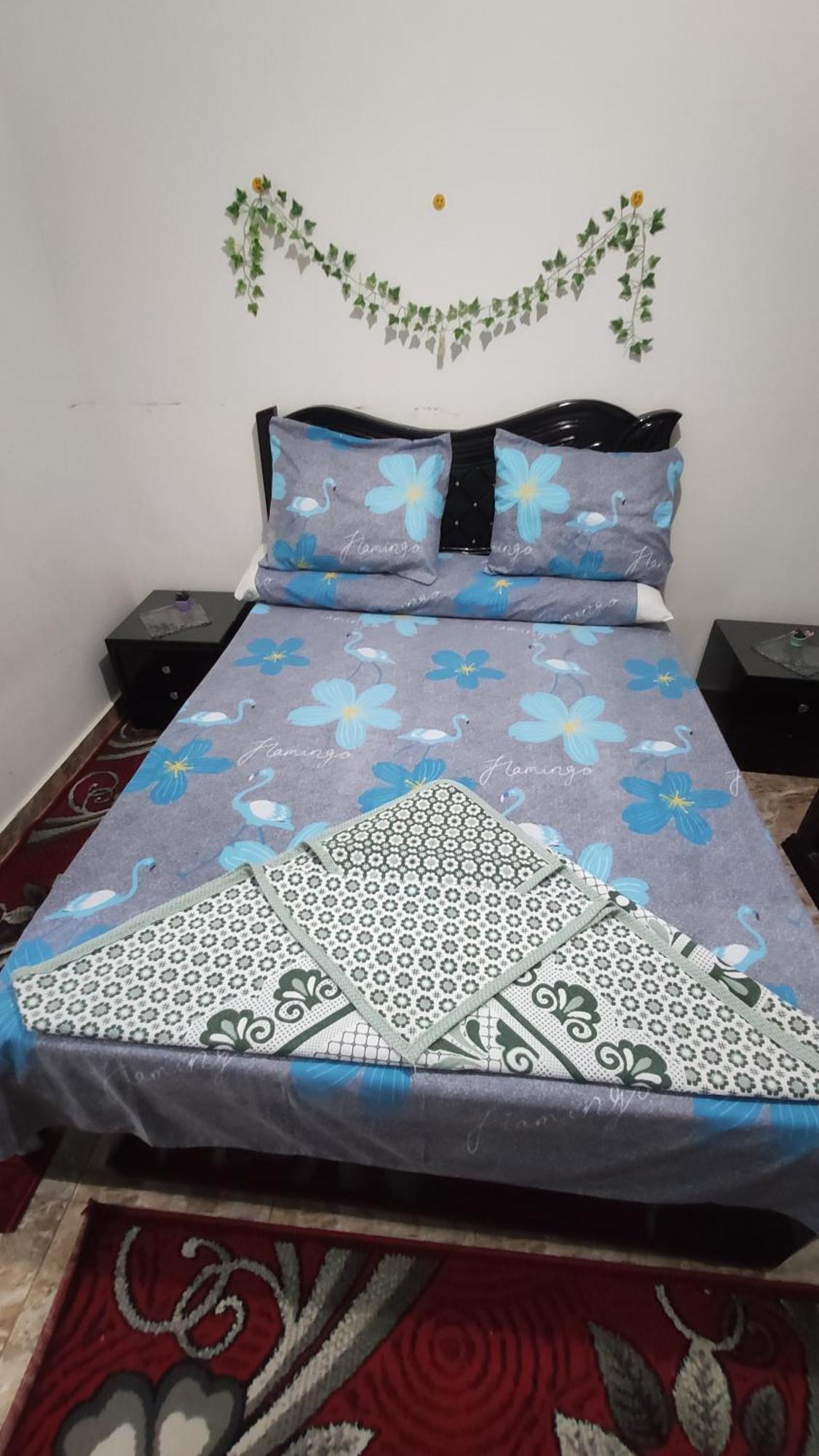 The Flowers Apartment İskenderiye Dış mekan fotoğraf